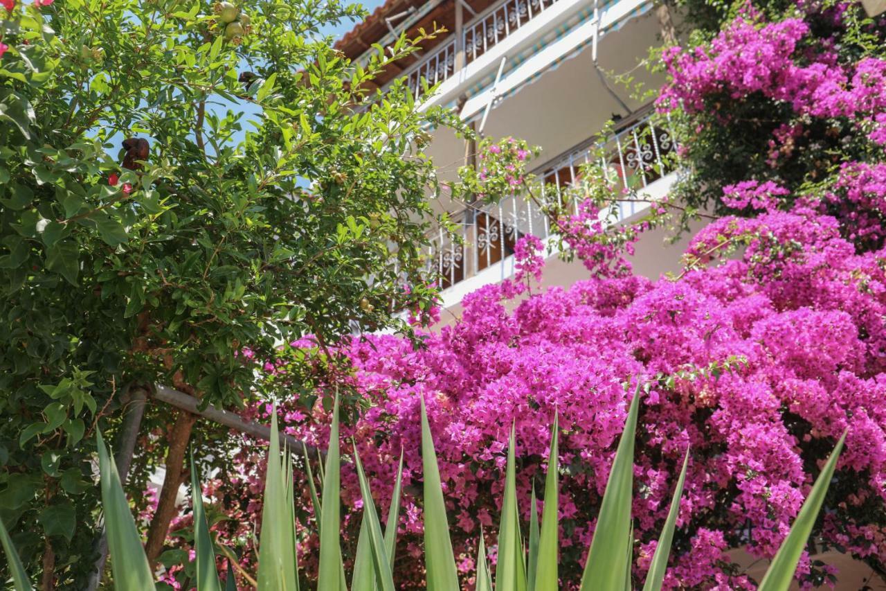 Vaya Zorba Studios Skiathos-Stadt Exterior foto